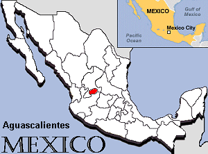 File:Mexico-AGS.gif