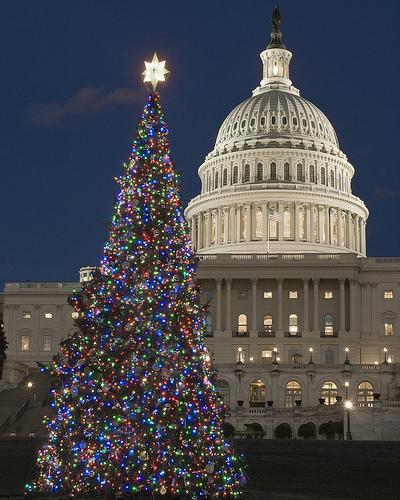 File:2007 Capitol tree.jpg
