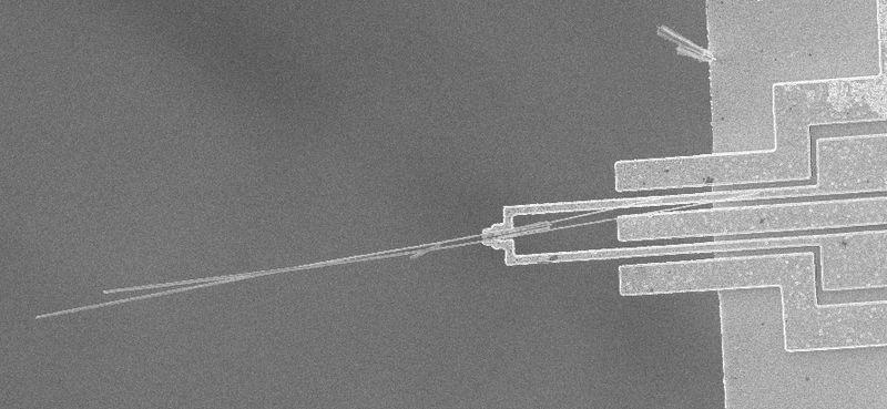 File:Nanoscale Devices 2006 Microgripper Holding Silicon Nanowires Attribution.jpg