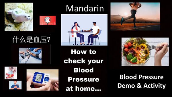 IEEE Blood Pressure STEM Video Overview Mandarin Video Thumbnail.jpg