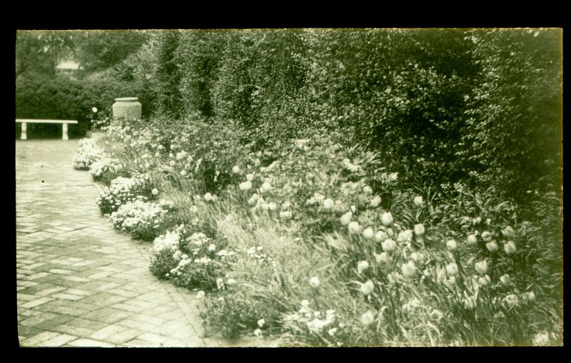 File:533 - Flower garden - Boxly.jpg